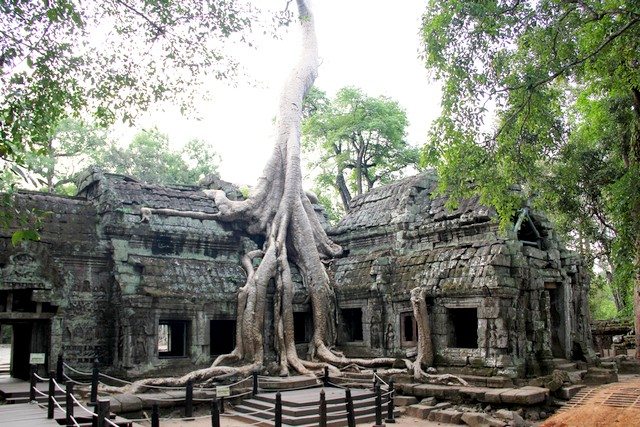 Angkor Ta Prohm