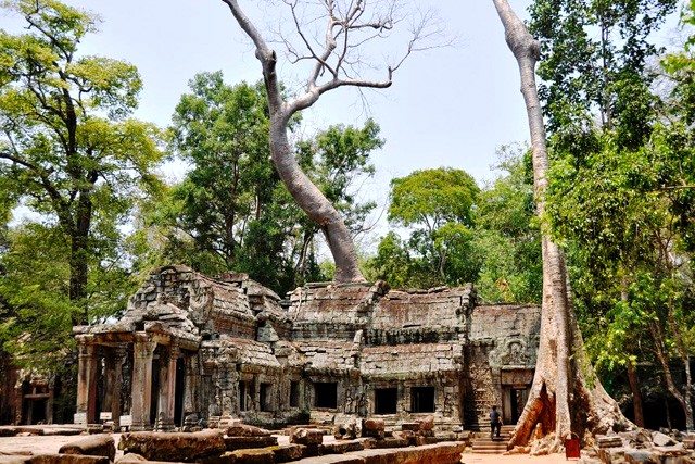 Angkor TaProhm