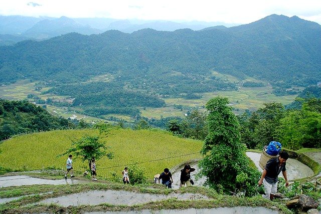 Hoang Su Phi - trekking