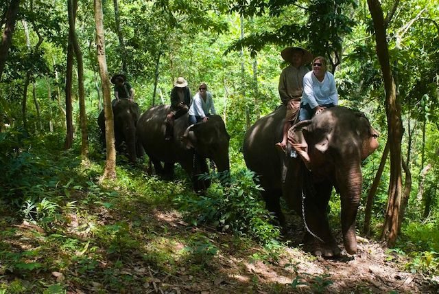 Laos Elephant rides