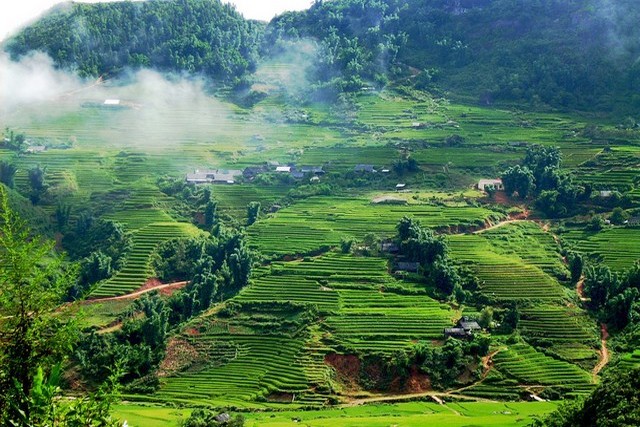 Mai Chau