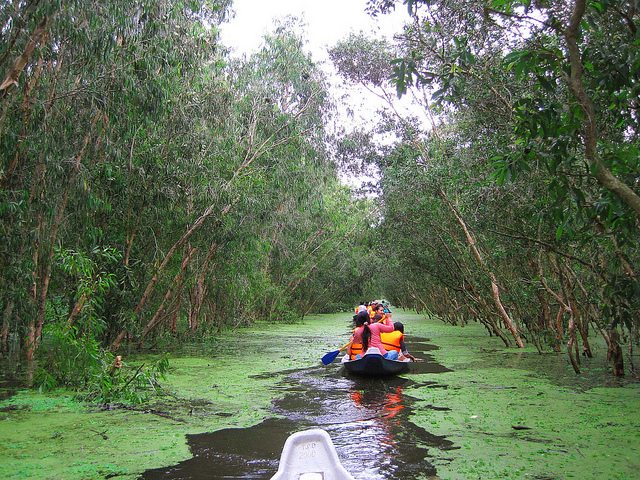 Mekong Delta TraSu 1