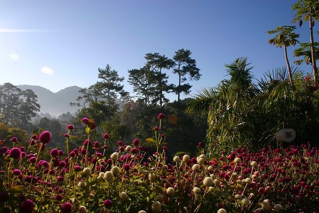 Myanmar kalaw