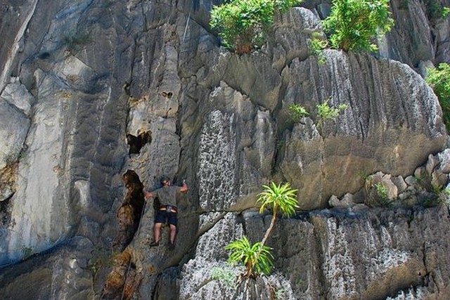 Oriental Sails Cruise climbing