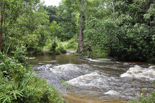 Phnom Kulen National Park