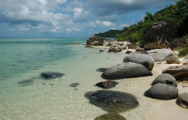 Phu Quoc Pearls