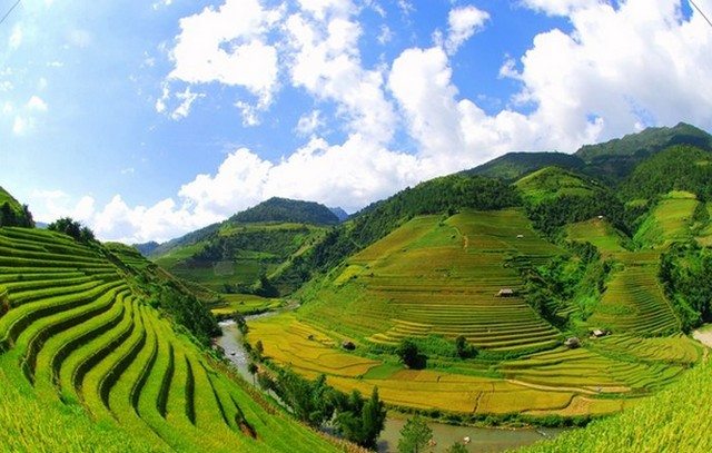 Sapa Tours