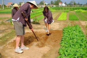 TraQue-Vegetable-Village