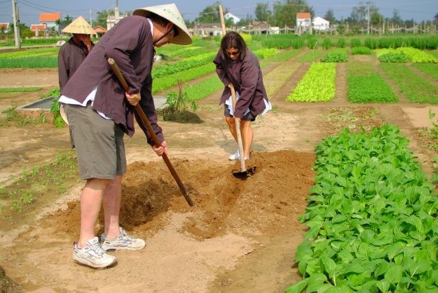 Tra Que -Vegetable-Village