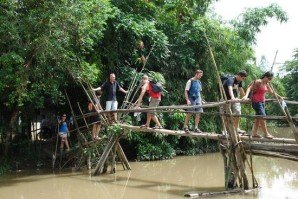 monkey-brigde-in-mekong-delta-tour