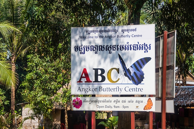 Banteay Srey Butterfly Centre