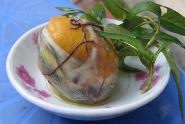Balut (Trung vit lon)