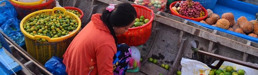 Complete Guide to Cai Rang Floating Market