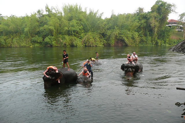 Elephant Ride, Thailand