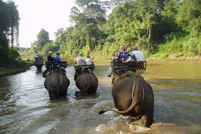 Elephant Ride