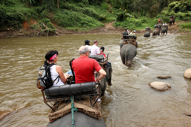 Elephant Ride