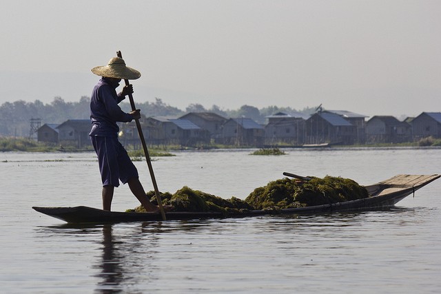 fish man in Inle lake