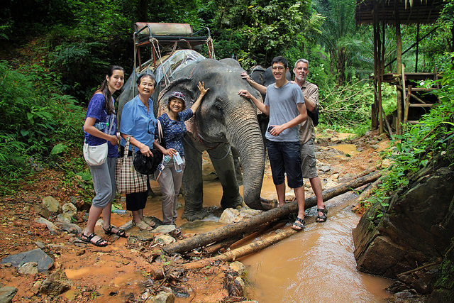 Experience the rainforest of Khao Sok