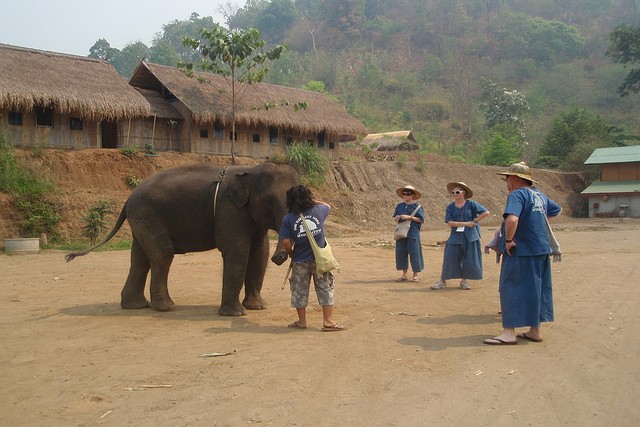 Preparing for the elephant ride
