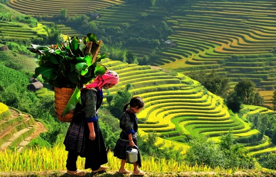 Muong Hoa Valley in Vietnam