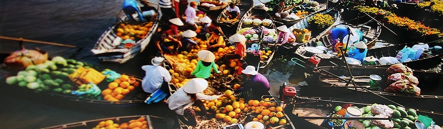 5 reasons to fall in love with Mekong Delta in Vietnam