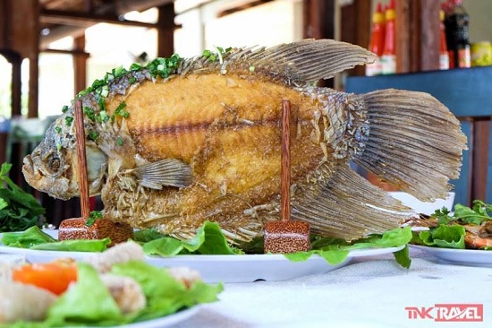 Vietnamese Fried ruffled gourami fish