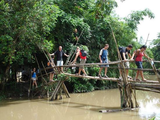 Across the monkey brigde in Mekong Delta