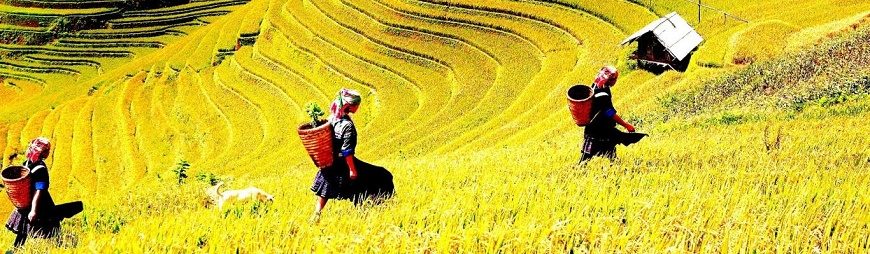 6 things to see and do in Sapa, Vietnam