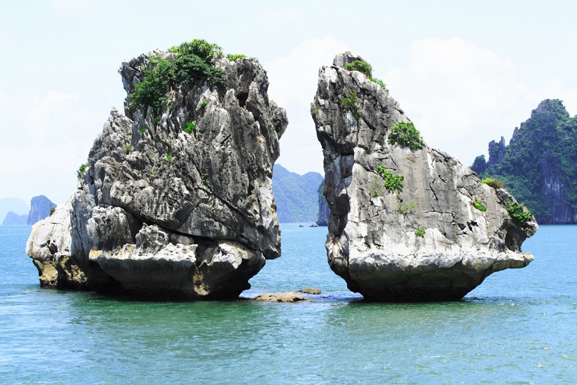 Fighting cock rock in Halong bay