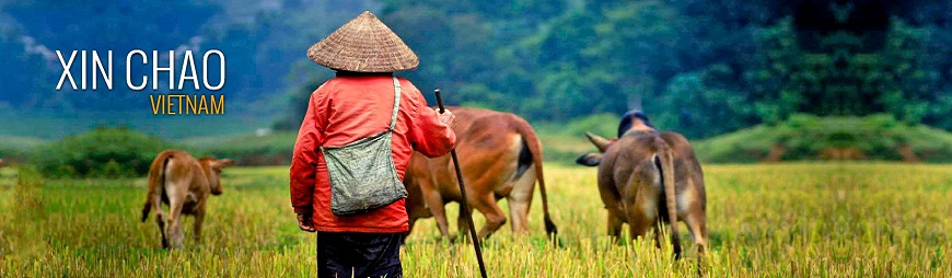 How to plan your first trip to Vietnam