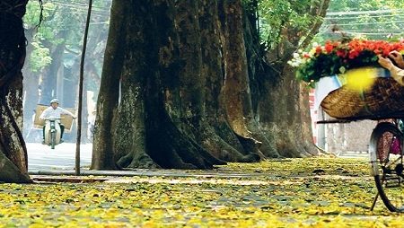 hanoi