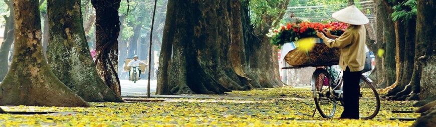 Top 10 attractions travelers must see in Hanoi, Vietnam