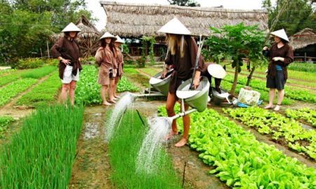 Tra Que herb village in Hoi An