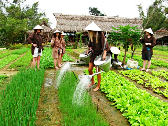 Tra Que herb village in Hoi An