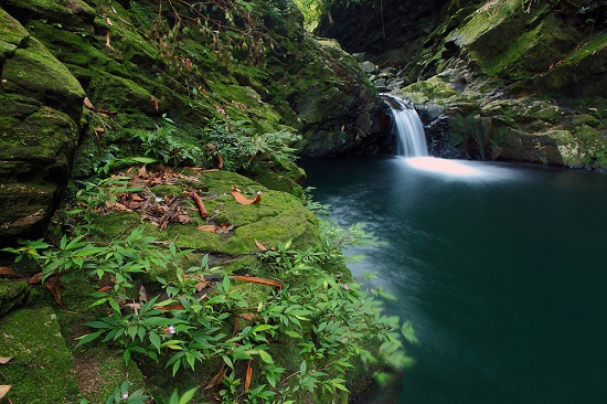 Stream and small waterfall in Bach Ma National Park