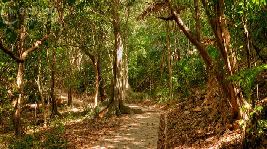 Exploring Con Dao National Park