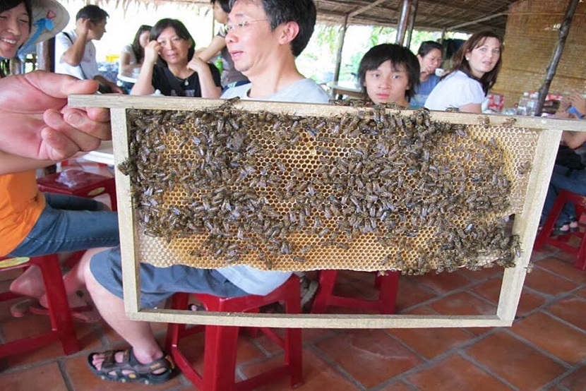 honey bee farm
