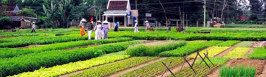 Visit traditional handicraft villages in Hoi An