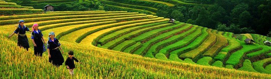 Top 5 Places to Visit in Northwest Vietnam