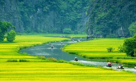 Boat trips at Tam Coc