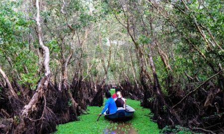 Tra Su forest in Mekong Delta