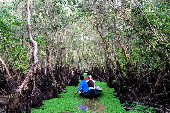 Floating season is the best time to visit Mekong Delta