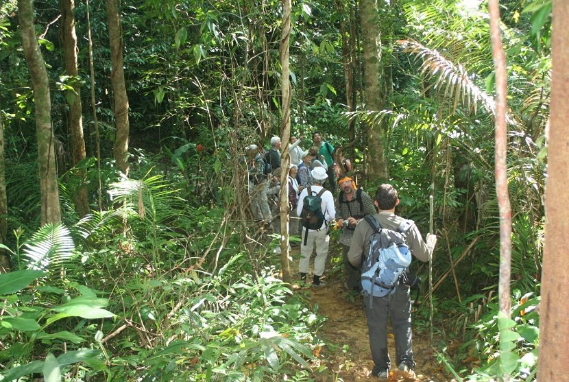 Bach Ma National Park