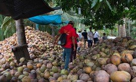 Ben-Tre-coconut-workshop-Mekong-Delta-tour-Vietnam