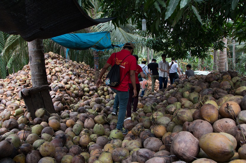 Ben Tre coconut workshop