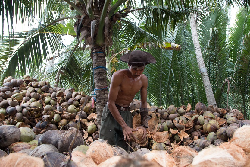 Ham Luong - Ben Tre 