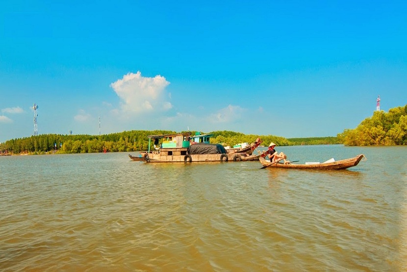 Can Gio Mangrove Forest (By Speed boat)