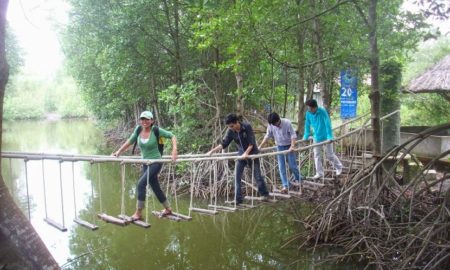 Can Gio Mangrove Forest (By Speed boat)