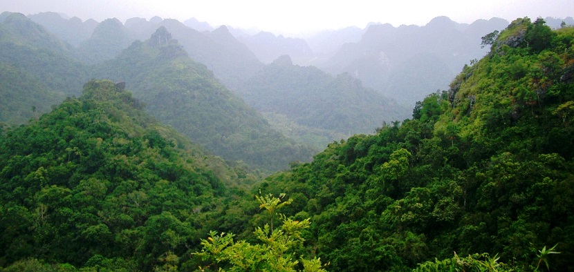 Cat Ba National Park