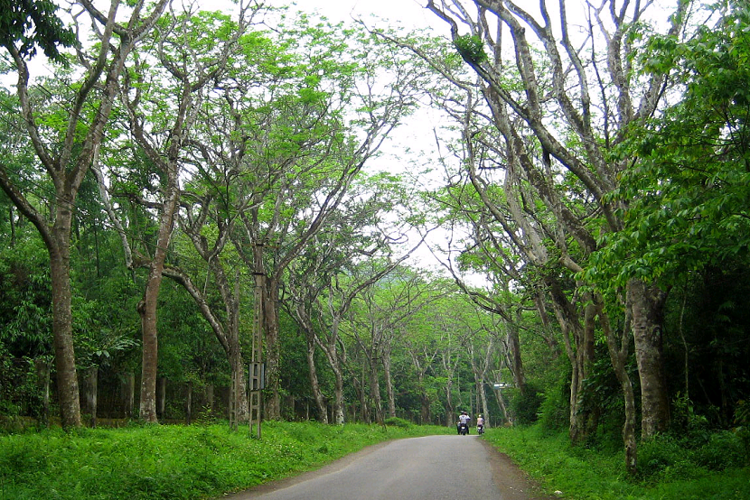 Cuc Phuong National Park